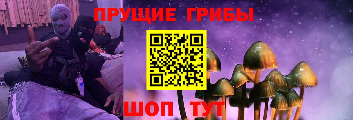 Галлюциногенные грибы Magic Shrooms  Вход с VPN  Малоярославец  Псилоцибиновые грибы MAGIC MUSHROOMS 